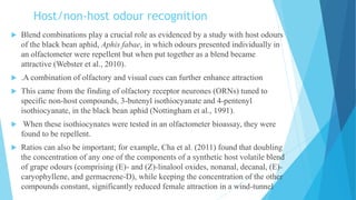 Host/non-host odour recognition
 Blend combinations play a crucial role as evidenced by a study with host odours
of the black bean aphid, Aphis fabae, in which odours presented individually in
an olfactometer were repellent but when put together as a blend became
attractive (Webster et al., 2010).
 .A combination of olfactory and visual cues can further enhance attraction
 This came from the finding of olfactory receptor neurones (ORNs) tuned to
specific non-host compounds, 3-butenyl isothiocyanate and 4-pentenyl
isothiocyanate, in the black bean aphid (Nottingham et al., 1991).
 When these isothiocynates were tested in an olfactometer bioassay, they were
found to be repellent.
 Ratios can also be important; for example, Cha et al. (2011) found that doubling
the concentration of any one of the components of a synthetic host volatile blend
of grape odours (comprising (E)- and (Z)-linalool oxides, nonanal, decanal, (E)-
caryophyllene, and germacrene-D), while keeping the concentration of the other
compounds constant, significantly reduced female attraction in a wind-tunnel
 