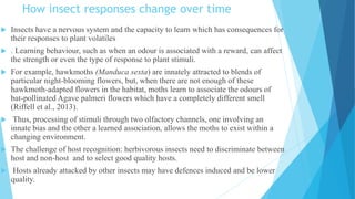 How insect responses change over time
 Insects have a nervous system and the capacity to learn which has consequences for
their responses to plant volatiles
 . Learning behaviour, such as when an odour is associated with a reward, can affect
the strength or even the type of response to plant stimuli.
 For example, hawkmoths (Manduca sexta) are innately attracted to blends of
particular night-blooming flowers, but, when there are not enough of these
hawkmoth-adapted flowers in the habitat, moths learn to associate the odours of
bat-pollinated Agave palmeri flowers which have a completely different smell
(Riffell et al., 2013).
 Thus, processing of stimuli through two olfactory channels, one involving an
innate bias and the other a learned association, allows the moths to exist within a
changing environment.
 The challenge of host recognition: herbivorous insects need to discriminate between
host and non-host and to select good quality hosts.
 Hosts already attacked by other insects may have defences induced and be lower
quality.
 