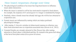 How insect responses change over time
 The physiological condition of an insect has long been known to influence
insect–plant interactions.
 When the insect is satiated it will be less motivated to respond to food odours;
for example, the response of D. melanogaster to vinegar is modulated by hunger
 Similarly, when a female insect has already laid eggs she will be less attracted to
oviposition cues.
 Female insects are influenced by mating which can induce profound
physiological changes.
 After mating, S. littoralis switches its behavioural response to olfactory cues
from food associated ones to oviposition-associated ones (Saveer et al., 2012).
 Unmated females are strongly attracted to lilac flowers but, after mating,
attraction to floral odour is abolished and they fly instead to the green-leaf odour
of the larval host plant cotton (Gossypium hirsutum).
 
