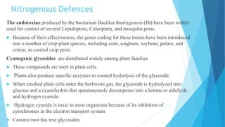 Nitrogenous Defences
The endotoxins produced by the bacterium Bacillus thuringiensis (Bt) have been widely
used for control of several Lepidoptera, Coleoptera, and mosquito pests.
 Because of their effectiveness, the genes coding for these toxins have been introduced
into a number of crop plant species, including corn, sorghum, soybean, potato, and
cotton, to control crop pests
Cyanogenic glycosides are distributed widely among plant families
 These compounds are inert in plant cells.
 Plants also produce specific enzymes to control hydrolysis of the glycoside.
 When crushed plant cells enter the herbivore gut, the glycoside is hydrolyzed into
glucose and a cyanohydrin that spontaneously decomposes into a ketone or aldehyde
and hydrogen cyanide.
 Hydrogen cyanide is toxic to most organisms because of its inhibition of
cytochromes in the electron transport system
 Cassava root has tese glycosides
 
