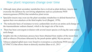 How plant responses change over time
 Although many plant secondary metabolites have evolved as plant defence, insects may
overcome the defences by coevolving adaptations such as cytochrome P450
monooxygenases (P450s) that metabolize plant toxins
 Specialist insects may even use the plant secondary metabolites to defend themselves
against their own attackers at the third trophic level (Boppré, 1978).
 The molecular basis of resistance to toxic cardenolides involves an amino acid change on
the transmembrane sodium channel, which is the target site of the toxin.
 There has been convergent evolution with several insect species evolving the same amino
acid change
 Insights into the evolutionary process have been obtained from studies of the recent host
shift to tobacco (Nicotiana tabacum) by the peach-potato aphid, Myzus persicae.
 Tobacco-adapted aphid races were found to overexpress a cytochrome P450 enzyme
(CYP6CY3) that allows them to detoxify nicotine (Bass et al., 2013
 