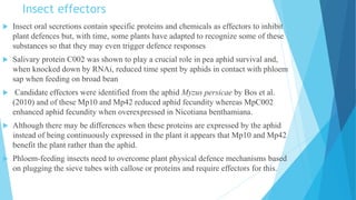 Insect effectors
 Insect oral secretions contain specific proteins and chemicals as effectors to inhibit
plant defences but, with time, some plants have adapted to recognize some of these
substances so that they may even trigger defence responses
 Salivary protein C002 was shown to play a crucial role in pea aphid survival and,
when knocked down by RNAi, reduced time spent by aphids in contact with phloem
sap when feeding on broad bean
 Candidate effectors were identified from the aphid Myzus persicae by Bos et al.
(2010) and of these Mp10 and Mp42 reduced aphid fecundity whereas MpC002
enhanced aphid fecundity when overexpressed in Nicotiana benthamiana.
 Although there may be differences when these proteins are expressed by the aphid
instead of being continuously expressed in the plant it appears that Mp10 and Mp42
benefit the plant rather than the aphid.
 Phloem-feeding insects need to overcome plant physical defence mechanisms based
on plugging the sieve tubes with callose or proteins and require effectors for this.
 