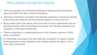 How plants recognize insects
 All living organisms face the shared challenge of detecting and responding to
chemical stimuli from their external environment.
 Detection of molecules associated with attacking organisms is crucial for eliciting
behavioural, physiological, and biochemical responses to ensure survival.
 Being unable to flee from attack, plants have had to evolve sophisticated ways of
detecting attackers and it is becoming increasingly clear that they can detect and
respond to a wide range of molecules.
 Pattern recognition is a fundamental process in the immune responses of both
plants and animals
 It is becoming increasingly clear that molecular recognition via ligand–receptor
binding phenomena plays important roles in plants and that this plays a role in
insect–plant interactions
 