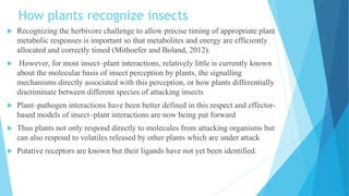 How plants recognize insects
 Recognizing the herbivore challenge to allow precise timing of appropriate plant
metabolic responses is important so that metabolites and energy are efficiently
allocated and correctly timed (Mithoefer and Boland, 2012).
 However, for most insect–plant interactions, relatively little is currently known
about the molecular basis of insect perception by plants, the signalling
mechanisms directly associated with this perception, or how plants differentially
discriminate between different species of attacking insects
 Plant–pathogen interactions have been better defined in this respect and effector-
based models of insect–plant interactions are now being put forward
 Thus plants not only respond directly to molecules from attacking organisms but
can also respond to volatiles released by other plants which are under attack
 Putative receptors are known but their ligands have not yet been identified.
 