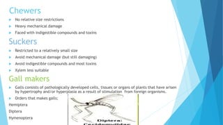 Chewers
 No relative size restrictions
 Heavy mechanical damage
 Faced with indigestible compounds and toxins
Suckers
 Restricted to a relatively small size
 Avoid mechanical damage (but still damaging)
 Avoid indigestible compounds and most toxins
 Xylem less suitable
Gall makers
 Galls consists of pathologically developed cells, tissues or organs of plants that have arisen
by hypertrophy and/or hyperplasia as a result of stimulation from foreign organisms.
 Orders that makes galls;
Hemiptera
Diptera
Hymenoptera
 