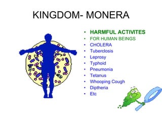 KINGDOM- MONERA HARMFUL ACTIVITES FOR HUMAN BEINGS CHOLERA Tuberclosis Leprosy Typhoid Pneumonia Tetanus Whooping Cough Diptheria Etc 