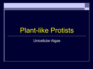 Plant-like Protists
Unicellular Algae
 