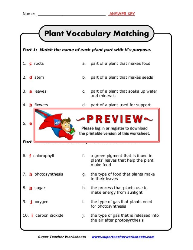 Plants math worksheets quizizz