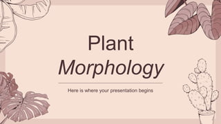 Plant
Morphology
Here is where your presentation begins
 