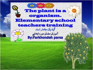 Plant organism-1