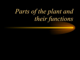 Parts of the plant and their functions 