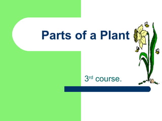 Parts of a Plant


       3rd course.
 