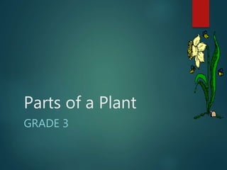 Parts of a Plant
GRADE 3
 