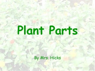 Plant Parts By Mrs. Hicks 