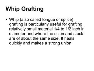 Whip Grafting Whip (also called tongue or splice) grafting is particularly useful for grafting relatively small material 1/4 to 1/2 inch in diameter and where the scion and stock are of about the same size. It heals quickly and makes a strong union.  