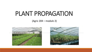 Comprehensive Guide to Plant Propagation: Sexual and Asexual Methods | PDF