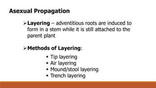 Comprehensive Guide to Plant Propagation: Sexual and Asexual Methods | PDF