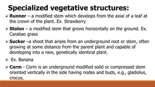 Comprehensive Guide to Plant Propagation: Sexual and Asexual Methods | PDF