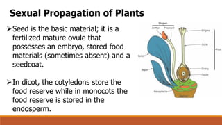 Comprehensive Guide to Plant Propagation: Sexual and Asexual Methods | PDF