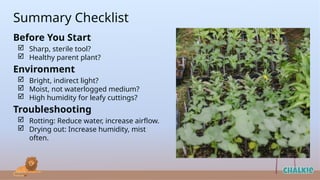Comprehensive Guide to Diagnosing and Solving Plant Propagation ...