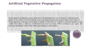 Artificial Vegetative Propagation
 