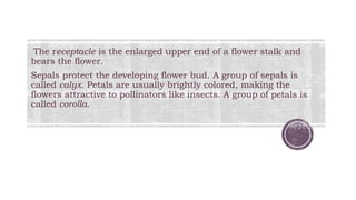 The receptacle is the enlarged upper end of a flower stalk and
bears the flower.
Sepals protect the developing flower bud. A group of sepals is
called calyx. Petals are usually brightly colored, making the
flowers attractive to pollinators like insects. A group of petals is
called corolla.
 