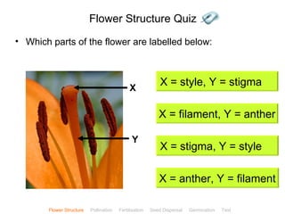 Flower Structure Quiz
• Which parts of the flower are labelled below:



                                              X
                                                             X = style, Y = stigma

                                                            X = filament, Y = anther

                                               Y
                                                             X = stigma, Y = style

                                                            X = anther, Y = filament

                                                                                               ClickBiology
        Flower Structure   Pollination   Fertilisation   Seed Dispersal   Germination   Test
 