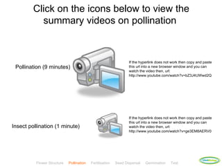 Click on the icons below to view the
           summary videos on pollination



                                                                  If the hyperlink does not work then copy and paste
 Pollination (9 minutes)                                          this url into a new browser window and you can
                                                                  watch the video then, url:
                                                                  http://www.youtube.com/watch?v=bZ3J4UWwd2Q




                                                                  If the hyperlink does not work then copy and paste
                                                                  this url into a new browser window and you can
Insect pollination (1 minute)                                     watch the video then, url:
                                                                  http://www.youtube.com/watch?v=ge3EM8AERV0




                                                                                                              ClickBiology
          Flower Structure   Pollination   Fertilisation   Seed Dispersal   Germination    Test
 