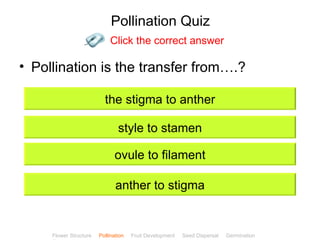 Pollination Quiz
                             Click the correct answer

• Pollination is the transfer from….?

                          the stigma to anther

                                style to stamen

                              ovule to filament

                               anther to stigma


                                                                                         ClickBiology
     Flower Structure   Pollination   Fruit Development   Seed Dispersal   Germination
 