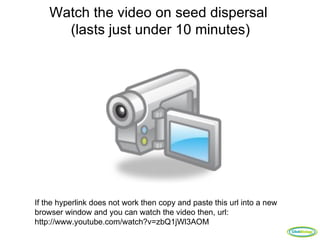 Watch the video on seed dispersal
      (lasts just under 10 minutes)




If the hyperlink does not work then copy and paste this url into a new
browser window and you can watch the video then, url:
http://www.youtube.com/watch?v=zbQ1jWl3AOM
                                                                         ClickBiology
 