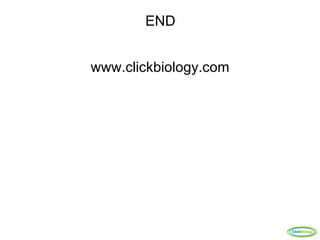 END


www.clickbiology.com




                       ClickBiology
 