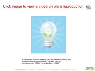 Click image to view a video on plant reproduction




                 If the hyperlink does not work then copy and paste this url into a new
                 browser window and you can watch the video then, url:
                 http://vimeo.com/1594037?pg=embed&sec=1594037


                                                                                                 ClickBiology
       Flower Structure   Pollination   Fertilisation   Seed Dispersal   Germination      Test
 
