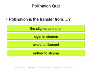 CClliicckkBBiioollooggyy 
Pollination Quiz 
• Pollination is the transfer from….? 
the stigma to anther 
style to stamen 
ovule to filament 
anther to stigma 
Flower Structure Pollination Fruit Development Seed Dispersal Germination 
Test 
 