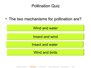 CClliicckkBBiioollooggyy 
Pollination Quiz 
• The two mechanisms for pollination are? 
Wind and water 
Insect and wind 
Insect and water 
Wind and birds 
Flower Structure Pollination Fertilisation Seed Dispersal Germination Test 
 