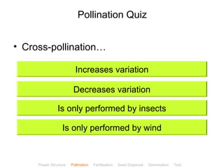 CClliicckkBBiioollooggyy 
Pollination Quiz 
• Cross-pollination… 
Increases variation 
Decreases variation 
Is only performed by insects 
Is only performed by wind 
Flower Structure Pollination Fertilisation Seed Dispersal Germination Test 
 