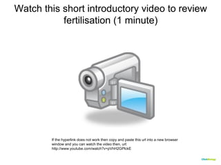 Watch this short introductory video to review 
CClliicckkBBiioollooggyy 
fertilisation (1 minute) 
If the hyperlink does not work then copy and paste this url into a new browser 
window and you can watch the video then, url: 
http://www.youtube.com/watch?v=pVhH2GPlckE 
 