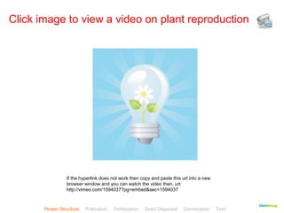 CClliicckkBBiioollooggyy 
Click image to view a video on plant reproduction 
If the hyperlink does not work then copy and paste this url into a new 
browser window and you can watch the video then, url: 
http://vimeo.com/1594037?pg=embed&sec=1594037 
Flower Structure Pollination Fertilisation Seed Dispersal Germination Test 
 