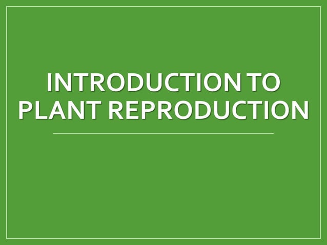 Plant-Reproduction.ppt
