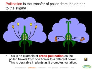 Poljen Example plant-reproduction-teacher copy.pptxpptx | PPTX