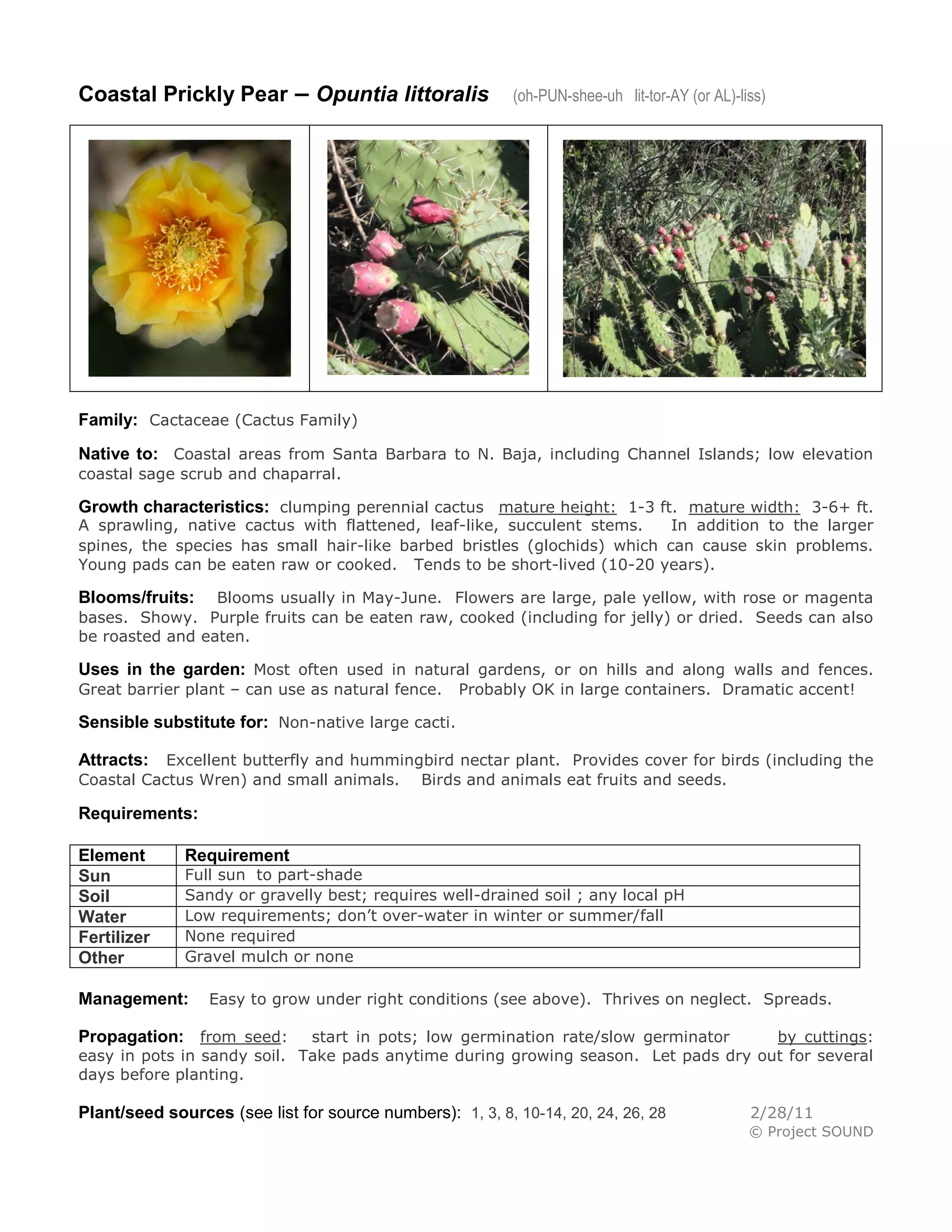Coastal Prickly Pear – Opuntia littoralis                  (oh-PUN-shee-uh lit-tor-AY (or AL)-liss)




Family: Cactaceae (Cactus Family)
Native to: Coastal areas from Santa Barbara to N. Baja, including Channel Islands; low elevation
coastal sage scrub and chaparral.

Growth characteristics: clumping perennial cactus mature height: 1-3 ft. mature width: 3-6+ ft.
A sprawling, native cactus with flattened, leaf-like, succulent stems.    In addition to the larger
spines, the species has small hair-like barbed bristles (glochids) which can cause skin problems.
Young pads can be eaten raw or cooked. Tends to be short-lived (10-20 years).

Blooms/fruits:   Blooms usually in May-June. Flowers are large, pale yellow, with rose or magenta
bases. Showy. Purple fruits can be eaten raw, cooked (including for jelly) or dried. Seeds can also
be roasted and eaten.

Uses in the garden: Most often used in natural gardens, or on hills and along walls and fences.
Great barrier plant – can use as natural fence.    Probably OK in large containers. Dramatic accent!

Sensible substitute for: Non-native large cacti.

Attracts:  Excellent butterfly and hummingbird nectar plant. Provides cover for birds (including the
Coastal Cactus Wren) and small animals. Birds and animals eat fruits and seeds.

Requirements:

Element       Requirement
Sun           Full sun to part-shade
Soil          Sandy or gravelly best; requires well-drained soil ; any local pH
Water         Low requirements; don’t over-water in winter or summer/fall
Fertilizer    None required
Other         Gravel mulch or none

Management:      Easy to grow under right conditions (see above). Thrives on neglect. Spreads.

Propagation: from seed:      start in pots; low germination rate/slow germinator    by cuttings:
easy in pots in sandy soil. Take pads anytime during growing season. Let pads dry out for several
days before planting.

Plant/seed sources (see list for source numbers): 1, 3, 8, 10-14, 20, 24, 26, 28                2/28/11
                                                                                                © Project SOUND
 
