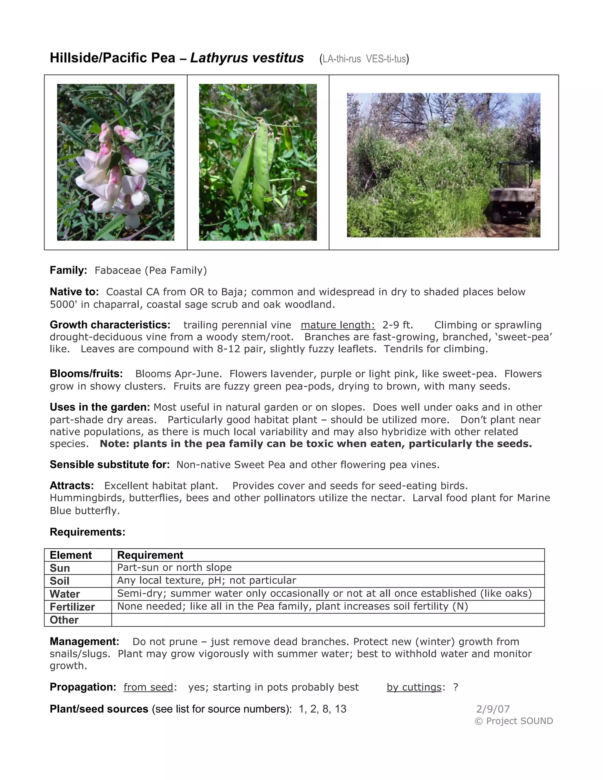 Hillside/Pacific Pea – Lathyrus vestitus               (LA-thi-rus VES-ti-tus)




Family: Fabaceae (Pea Family)
Native to: Coastal CA from OR to Baja; common and widespread in dry to shaded places below
5000' in chaparral, coastal sage scrub and oak woodland.

Growth characteristics:   trailing perennial vine mature length: 2-9 ft.      Climbing or sprawling
drought-deciduous vine from a woody stem/root. Branches are fast-growing, branched, ‘sweet-pea’
like. Leaves are compound with 8-12 pair, slightly fuzzy leaflets. Tendrils for climbing.

Blooms/fruits:  Blooms Apr-June. Flowers lavender, purple or light pink, like sweet-pea. Flowers
grow in showy clusters. Fruits are fuzzy green pea-pods, drying to brown, with many seeds.

Uses in the garden: Most useful in natural garden or on slopes. Does well under oaks and in other
part-shade dry areas. Particularly good habitat plant – should be utilized more. Don’t plant near
native populations, as there is much local variability and may also hybridize with other related
species. Note: plants in the pea family can be toxic when eaten, particularly the seeds.

Sensible substitute for: Non-native Sweet Pea and other flowering pea vines.
Attracts: Excellent habitat plant. Provides cover and seeds for seed-eating birds.
Hummingbirds, butterflies, bees and other pollinators utilize the nectar. Larval food plant for Marine
Blue butterfly.

Requirements:

Element      Requirement
Sun          Part-sun or north slope
Soil         Any local texture, pH; not particular
Water        Semi-dry; summer water only occasionally or not at all once established (like oaks)
Fertilizer   None needed; like all in the Pea family, plant increases soil fertility (N)
Other
Management:      Do not prune – just remove dead branches. Protect new (winter) growth from
snails/slugs. Plant may grow vigorously with summer water; best to withhold water and monitor
growth.

Propagation: from seed: yes; starting in pots probably best             by cuttings: ?

Plant/seed sources (see list for source numbers): 1, 2, 8, 13                            2/9/07
                                                                                         © Project SOUND
 