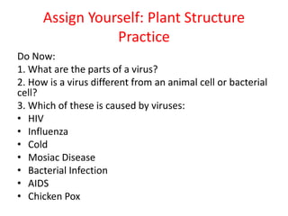 Assign Yourself: Plant Structure
Practice
Do Now:
1. What are the parts of a virus?
2. How is a virus different from an animal cell or bacterial
cell?
3. Which of these is caused by viruses:
• HIV
• Influenza
• Cold
• Mosiac Disease
• Bacterial Infection
• AIDS
• Chicken Pox
 