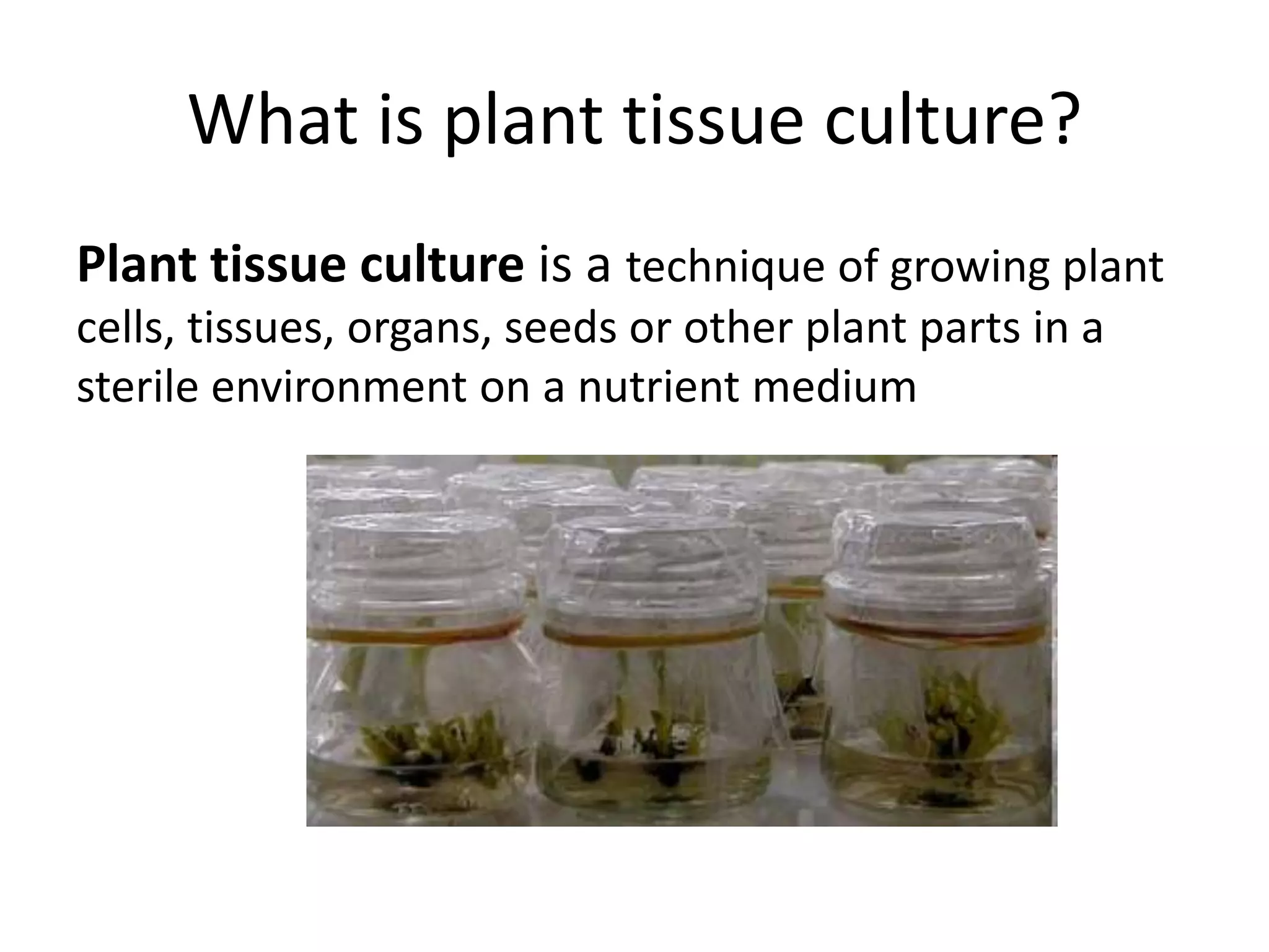 PLANT TISSUE CULTURE | PPTX