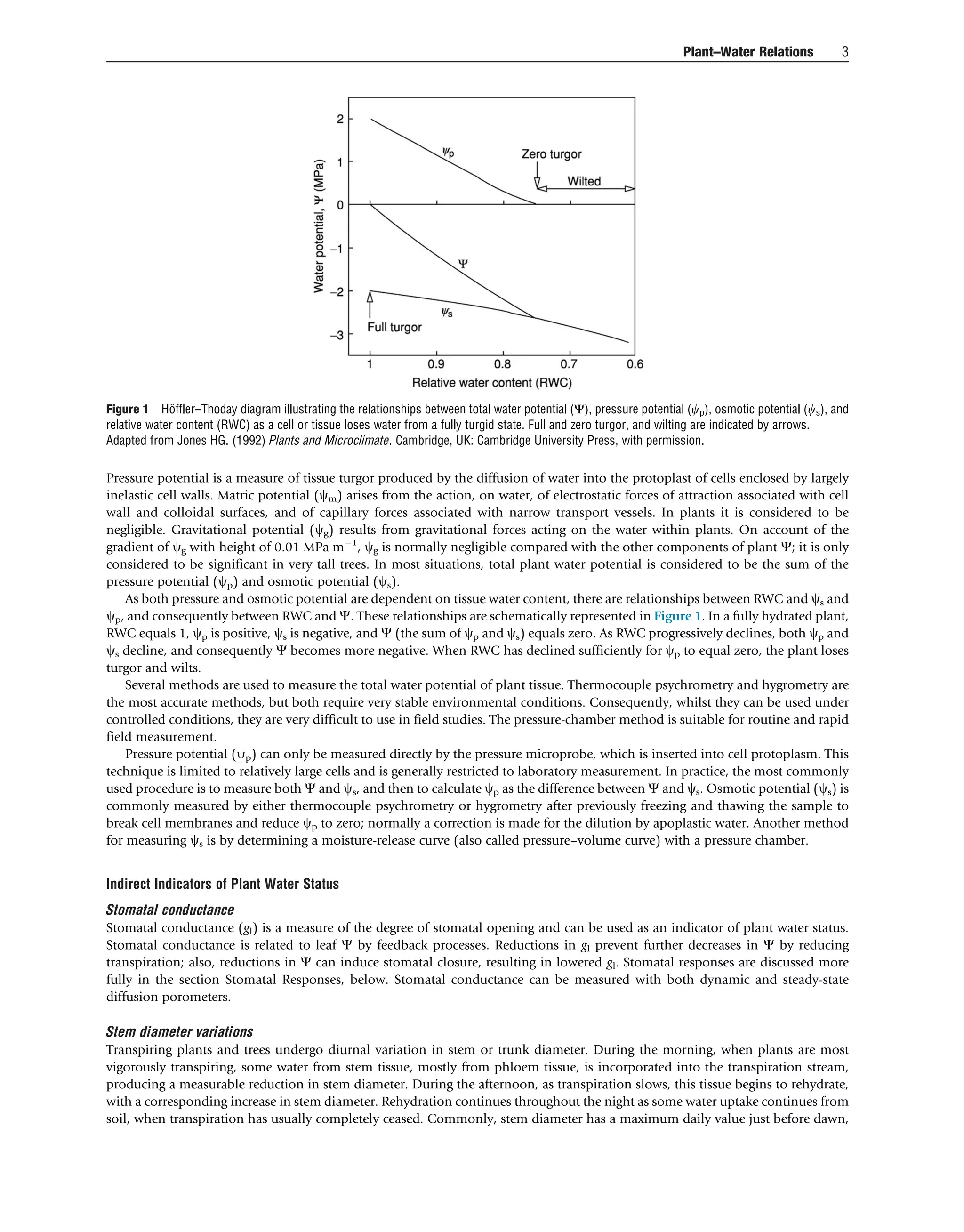 Plant water relations | PDF