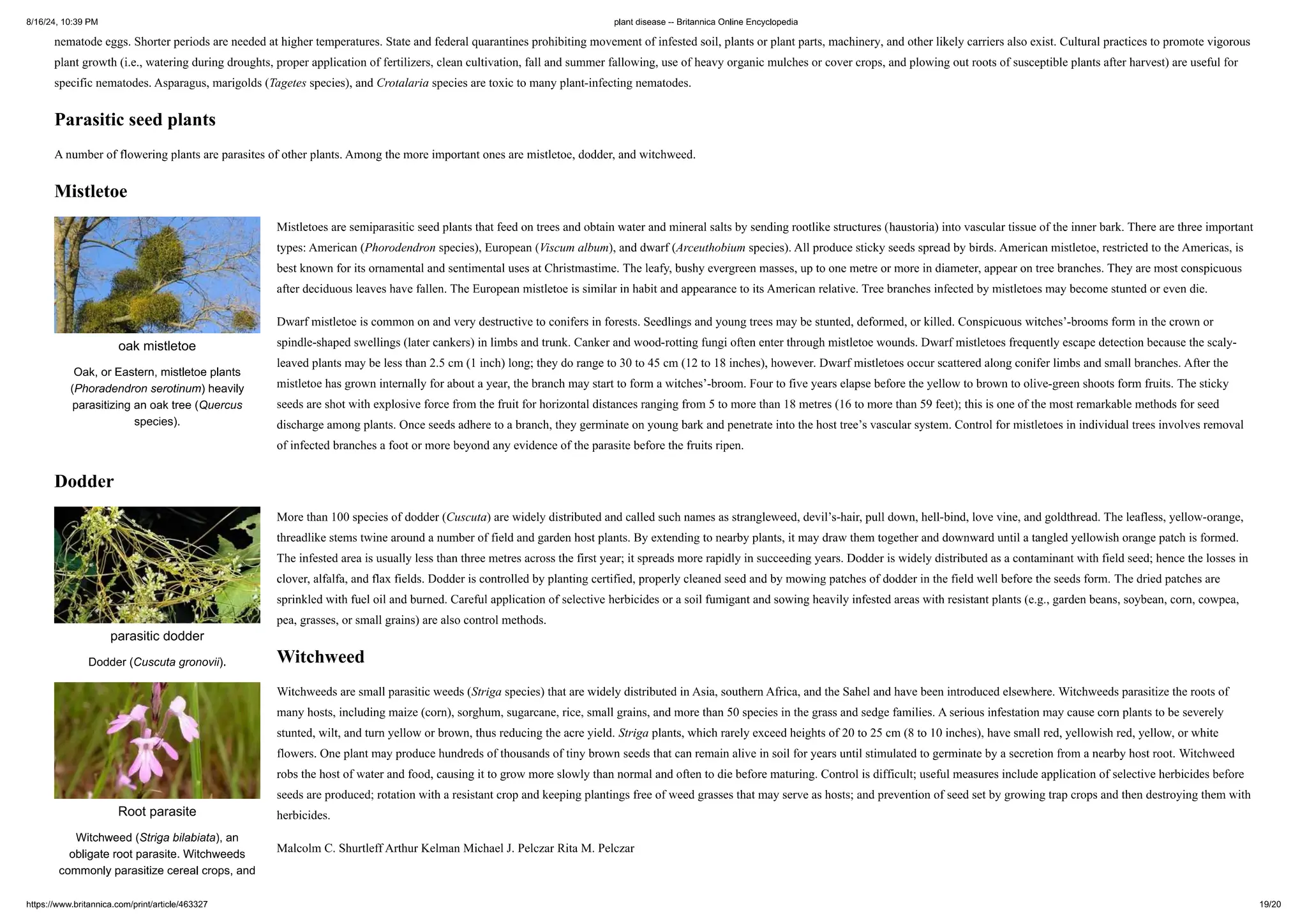 Plant Diseases List For Ai Model Training PPT plant-diseases-list-for-ai-model-training-ppt