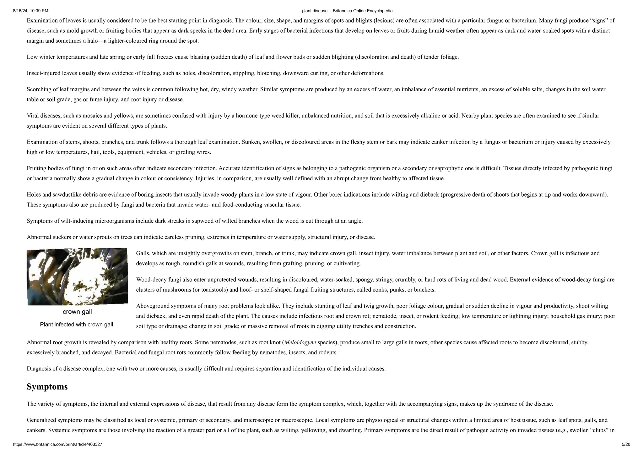 Plant Diseases List For Ai Model Training PPT plant-diseases-list-for-ai-model-training-ppt