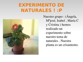 EXPERIMENTO DE NATURALES ! :P ,[object Object]