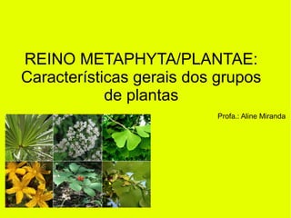 REINO METAPHYTA/PLANTAE:
Características gerais dos grupos
de plantas
Profa.: Aline Miranda
 