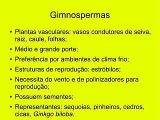 Gimnospermas
● Plantas vasculares: vasos condutores de seiva,
raiz, caule, folhas;
● Médio e grande porte;
● Preferência por ambientes de clima frio;
● Estruturas de reprodução: estróbilos;
● Necessita do vento e de polinizadores para
reprodução;
● Possuem sementes;
● Representantes: sequoias, pinheiros, cedros,
cicas, Ginkgo biloba.
 