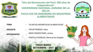 “PLANTAS AROMÁTICAS ALIMENTICIAS”
TEMA :
TAFUR PEREDA, Hans
MORI CRISÓSTOMO, Jhuliza
PORTILLO ROBLES, María de los Ángeles
TINGO MARIA
SETIEMBRE - 2021
DOCENTE :
INTEGRANTES :
"Año del Bicentenario del Perú: 200 años de
Independencia”
UNIVERSIDAD NACIONAL AGRARIA DE LA
SELVA
FACULTAD DE INGENIERIA EN INDUSTRIAS
ALIMENTARIAS
 